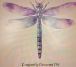Dragonfly Dreams