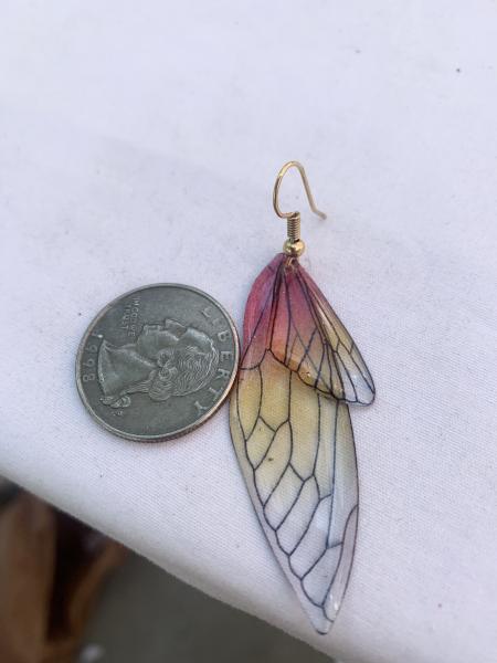 Butterfly Wings Earrings picture