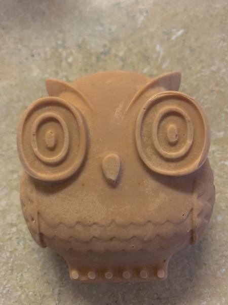 Handmade Owl Pumpkin Spice Soap picture