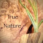 True Nature