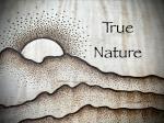 True Nature