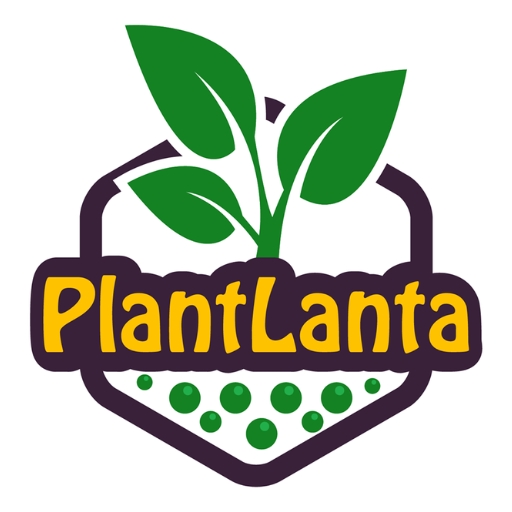 Plantlanta