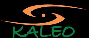 Kaleo Marketing