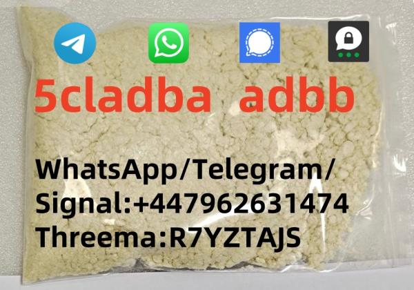 5cladba adbb 5f-mdmb-2201 6cladba 5fadb WhatsApp/Telegram/Signal:+447962631474 Threema:R7YZTAJS picture
