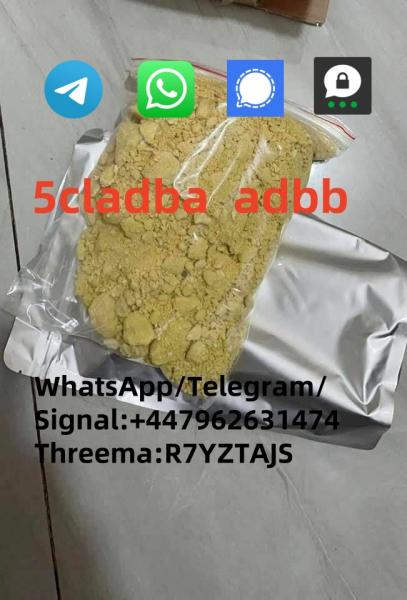 5cladba adbb 5f-mdmb-2201 6cladba 5fadb WhatsApp/Telegram/Signal:+447962631474 Threema:R7YZTAJS picture