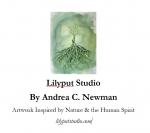 Lilyput Studio