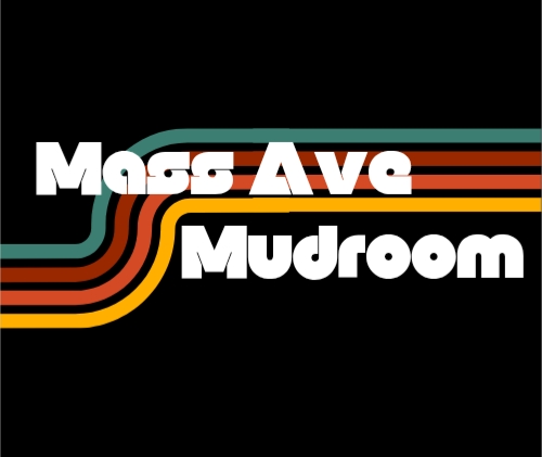 Mass Ave Mudroom