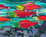 Southern salmon