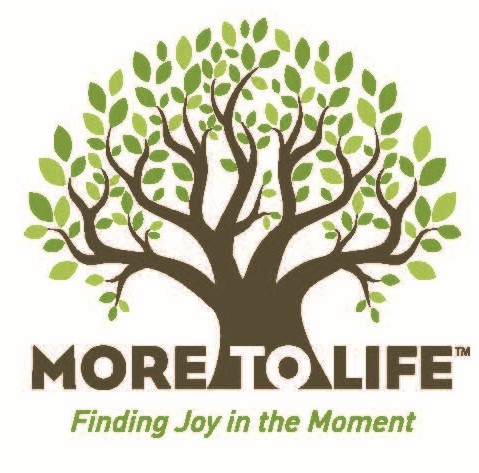 More To Life ,Inc