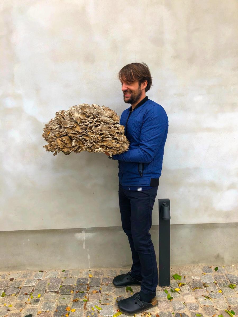 shroomculinary User Profile