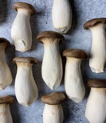 premium-quality Trumpet Royale Mushrooms, visit ShroomCulinary or call +1 (484) 668-4299 to place an order. picture