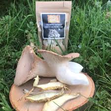 premium-quality Trumpet Royale Mushrooms, visit ShroomCulinary or call +1 (484) 668-4299 to place an order. picture
