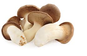 premium-quality Trumpet Royale Mushrooms, visit ShroomCulinary or call +1 (484) 668-4299 to place an order.