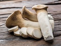 premium-quality Trumpet Royale Mushrooms, visit ShroomCulinary or call +1 (484) 668-4299 to place an order. picture