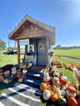 The Pumpkin Shack
