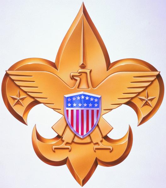 Troop217 BSA