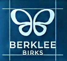 Birkleebirks