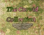 The Corvid Collection