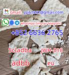 Special channel delivery, JWH-018  5CL-A D B A Raw materials Spot suppliers 5 F- A D B 48 hours delivery, 5-7 days arrival, 100% safe,