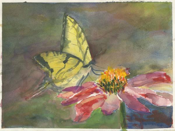 Inner Light Counseling & Bodywork LLC