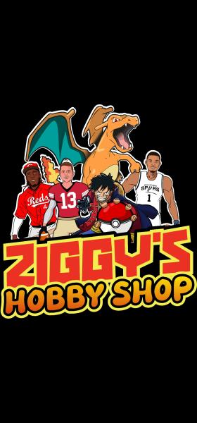 Ziggys hobby shop