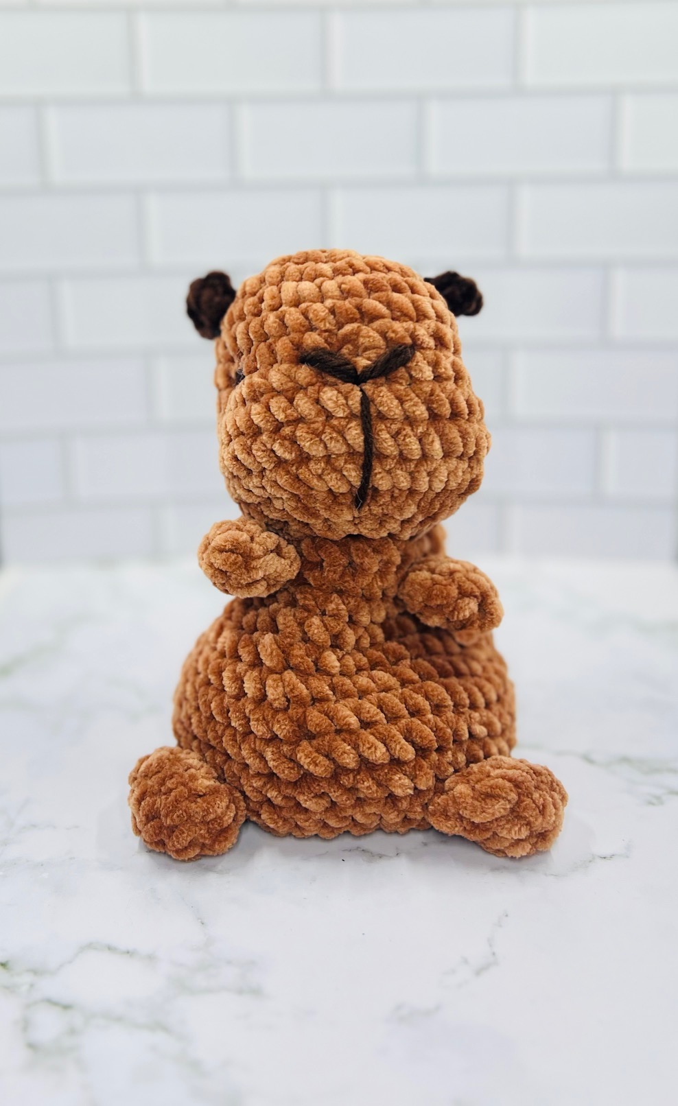 Couch Besties Weighted Crochet Capybara | Chunky Chenille Amigurumi Plush picture