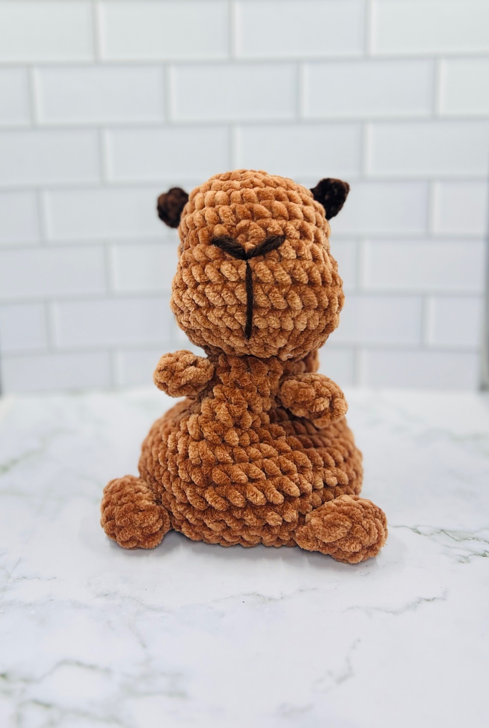 Couch Besties Weighted Crochet Capybara | Chunky Chenille Amigurumi Plush picture