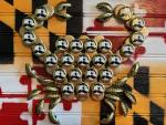 RLT Crab Crafts