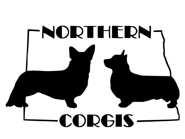 Northern Corgis