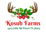 Kosub Farms Strawberries