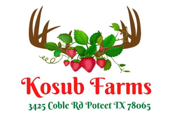 Kosub Farms Strawberries