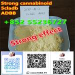 5CLADB 5CL-ADB-A 5cladb 5cladba synthetic cannabinoids+852 55236727