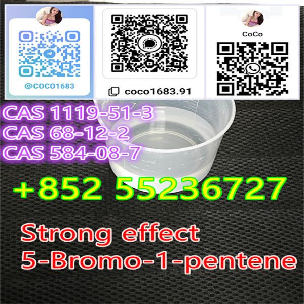 High Quality 5-Bromo-1-Pentene CAS 1119-51-3