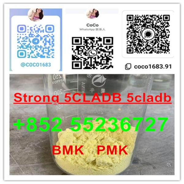 Cannabinoid 5CL-ADB powder 5cl-adb in stock+852 55236727