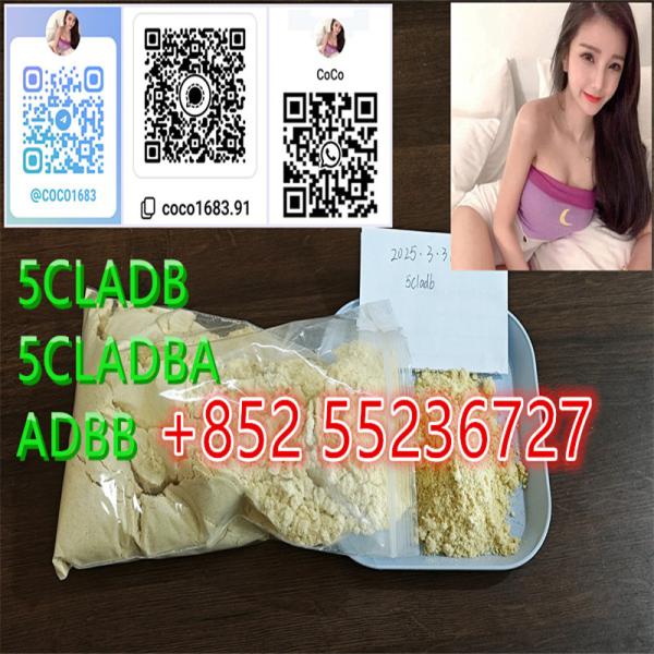 5cladba Precursor material powder 5cladba adbb+852 55236727