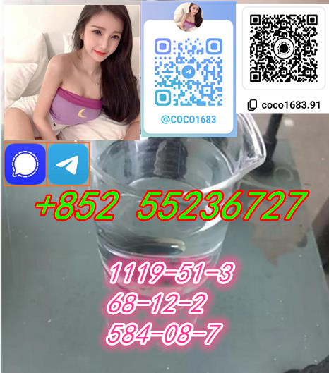 Sale CAS 1119-51-3 5-Bromo-1-Pentene