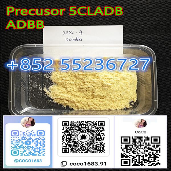 Pure 5cladb real plug raw materials+852 55236727
