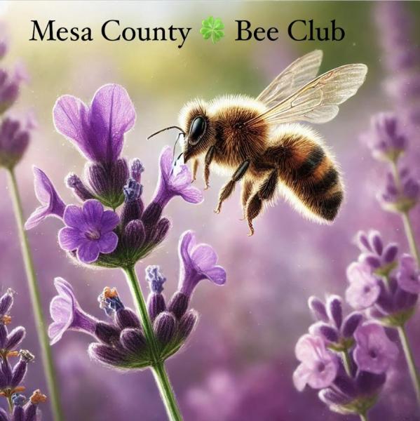Mesa County 4-H Bee Club