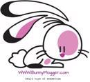 www.BunnyFlogger.com