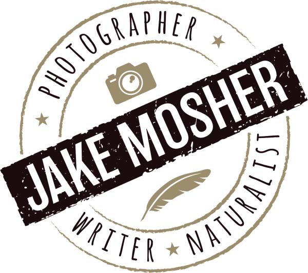 Jake Mosher Photography