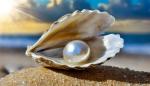 Southern Pearl Boutique