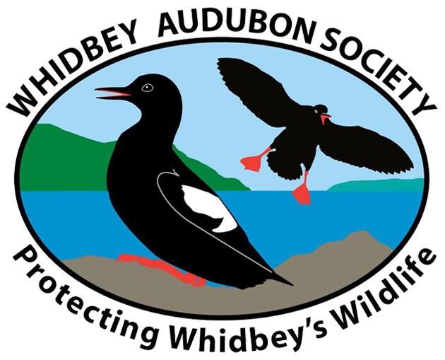 Whidbey Audubon Society