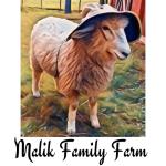 Malik Family Farm