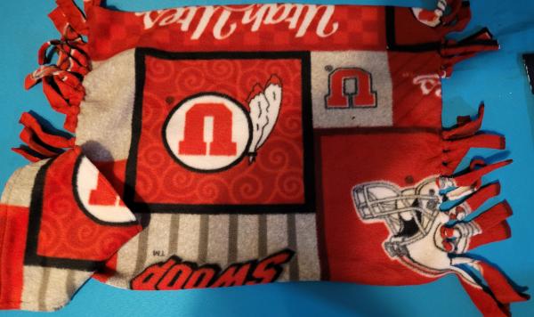 Blanket and bandana sets