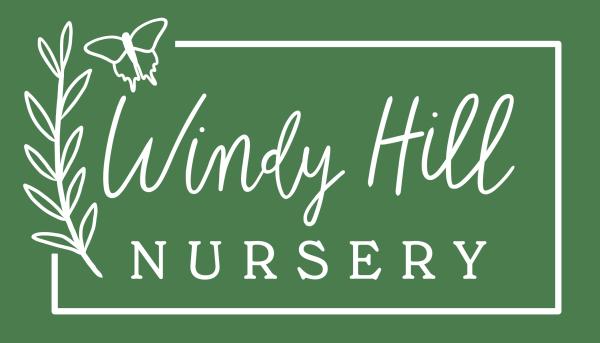 Windy Hill Nursery
