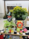 Shannon Mitchell Designs
