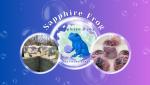 The Sapphire Frog