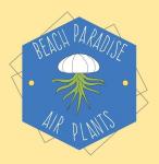 Beach Paradise Air Plants