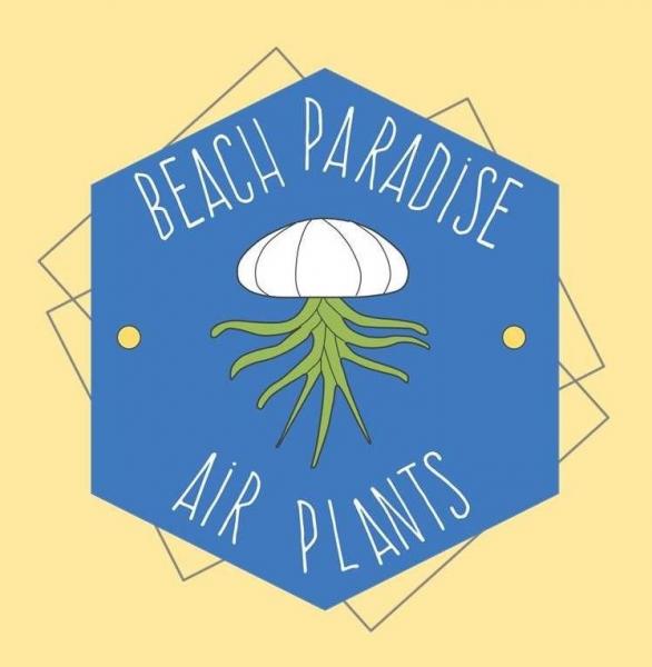 Beach Paradise Air Plants