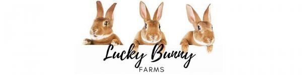 DONATE TO LUCKY BUNNY FARMS!